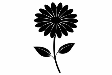 Daisy black and white flower silhouette on white background, Vector illustration, bird, icon, svg, characters, Holiday t shirt, Hand drawn trendy Vector illustration, Rose flower