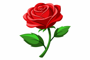 Fototapeta premium red rose with leaves Vector illustration on white background, silhouette, bird, icon, svg, characters, Holiday t shirt, Hand drawn trendy Vector illustration, Rose flower 