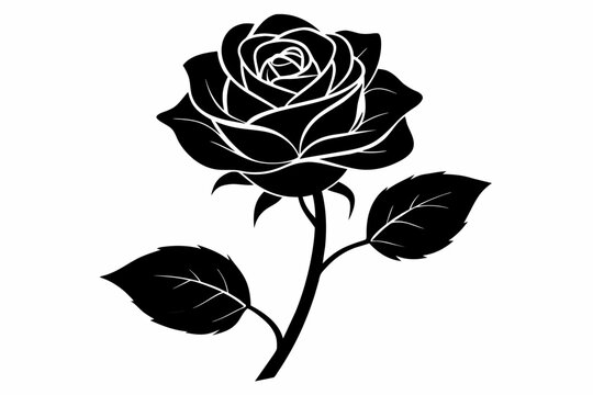 black rose with leaves Vector illustration on white background, silhouette, bird, icon, svg, characters, Holiday t shirt, Hand drawn trendy Vector illustration, Rose flower