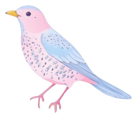 Fototapeta premium PNG Bird drawing animal sketch.