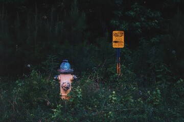 fire extingshuer in the woods 