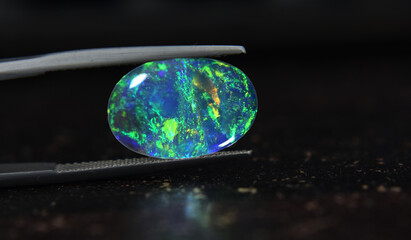 opal Is a gem that has beautiful colors Rare and expensive In the gemstone clamp.