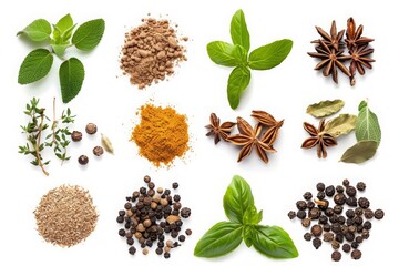 A small collection of spices and herbs, each adding flavor to life, displayed as a simple clipart isolated on a white background