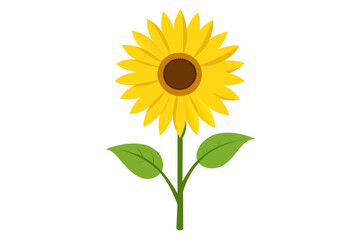 sunflower isolated on white background, sunflower Vector illustration, silhouette, bird, icon, svg, characters, Holiday t shirt, Hand drawn trendy Vector illustration, Rose flower