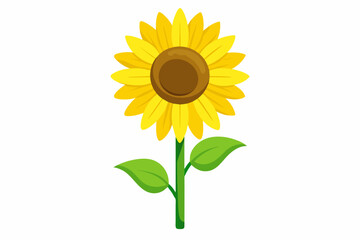 Fototapeta premium sunflower isolated on white background, sunflower Vector illustration, silhouette, bird, icon, svg, characters, Holiday t shirt, Hand drawn trendy Vector illustration, Rose flower