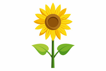 sunflower isolated on white background, sunflower Vector illustration, silhouette, bird, icon, svg, characters, Holiday t shirt, Hand drawn trendy Vector illustration, Rose flower