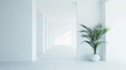 White walls in the room space background
