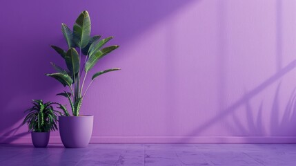 Purple walls in the room space background