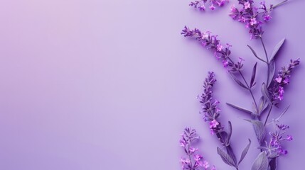 Purple flowers and purple wallpaper background
