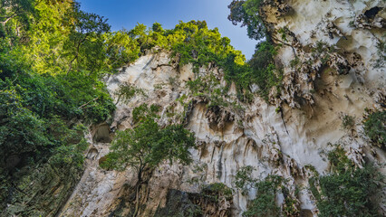 Sheer limestone cliffs with green tropical vegetation and hanging stalactites on the slopes. Bottom...
