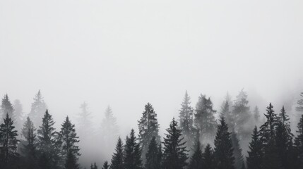 Obraz premium White wallpaper background