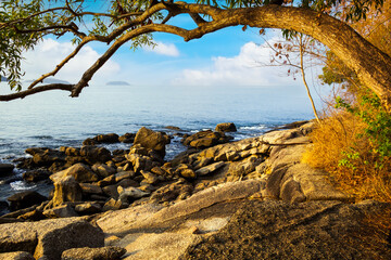 Fototapeta premium Krating cape in summer Phuket Thailand with tree