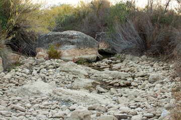 Stones in the riverbed