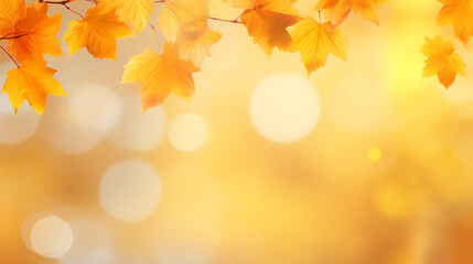 Naklejka na ściany i meble Autumn background, leaves and blurred sunlight
