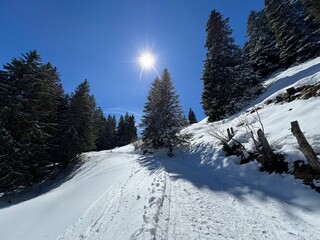 Excellently arranged and cleaned winter trails for walking, hiking, sports and recreation in the area of the tourist resorts of Valbella and Lenzerheide in the Swiss Alps - Switzerland (Schweiz)