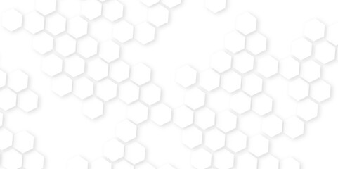 Background with white lines . Abstract background with hexagon,Abstract background with lines.Modern pattern polygon art in illustration art background,hexagon concept design abstract technology backg