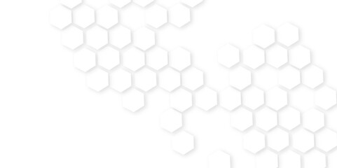 Background with white lines . Abstract background with hexagon,Abstract background with lines.Modern pattern polygon art in illustration art background,hexagon concept design abstract technology backg