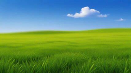 Obraz premium green grass and blue sky