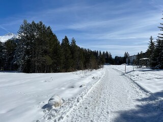 Excellently arranged and cleaned winter trails for walking, hiking, sports and recreation in the...