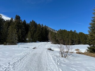 Excellently arranged and cleaned winter trails for walking, hiking, sports and recreation in the...