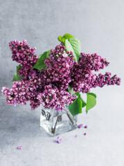 Lilac flowers on a vase