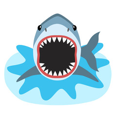 Shark with open mouth on a white background.