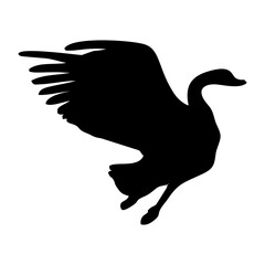 black silhouette of a swan or duck