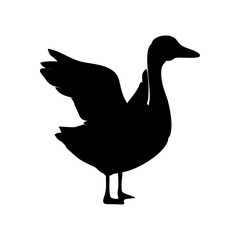 black silhouette of a swan or duck