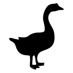 black silhouette of a swan or duck