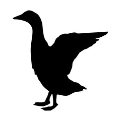 black silhouette of a swan or duck