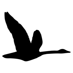 black silhouette of a swan or duck