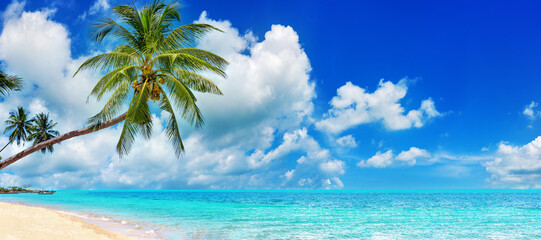 Tropical island paradise sea beach, ocean water, green coconut palm tree leaves, sand, sun blue sky...