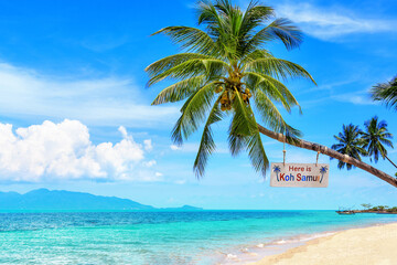 Here is Koh Samui sign on palm tree, paradise tropical island sea sand beach, Koh Phangan view landscape, ocean, sun sky cloud, Surat Thani, Thailand, summer holidays, vacation, Southeast Asia travel