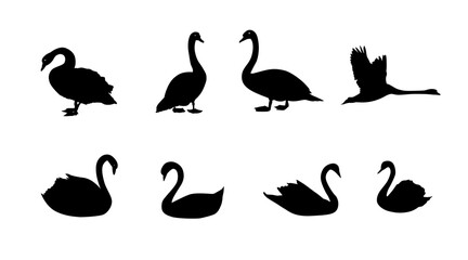 collection of swan animal silhouettes © mdpz art