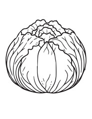 Illustration Coloring draw vegetable cabbage delicious black and white version good for kids