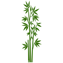 Fototapeta premium Bamboo forest flat design