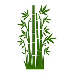 Obraz premium Bamboo forest flat design