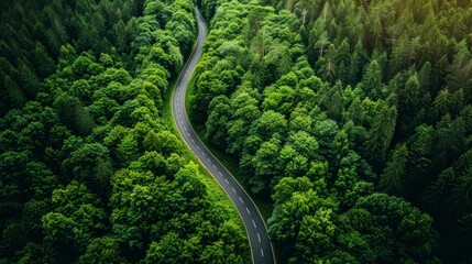Green energy concept with an aerial shot of a forest road emphasizing sustainable travel through nature