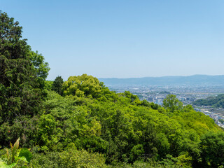 Obraz premium 新緑に覆われた山と奈良盆地の街並み