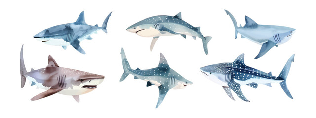 Collection set of watercolor shark environmental marine illustration