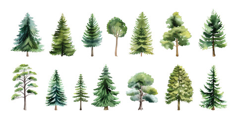 Set collection of hand drawn watercolor green forest tree and bush painting illustration