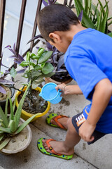 Cute 5 year old Asian little boy is watering the plant in the pots located at house balcony, Love of sweet little boy for the mother nature during watering into plants, Kid Planting