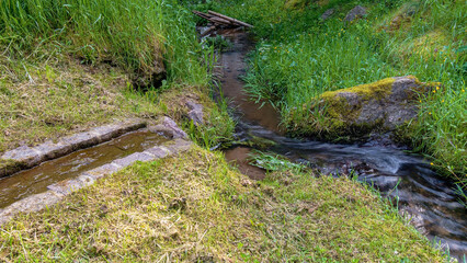 Brook in the grassland in black forest
