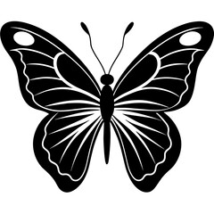 Explore captivating butterfly vector illustrations for your projects. Vibrant, detailed, and ready to enhance your designs. Dive in now.