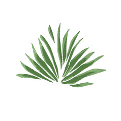 Grass