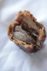 There is a bug in my dried dates.