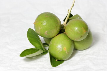 Green Lime isolate on white background
