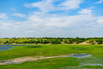 Wetland scenery along the Nenjiang River