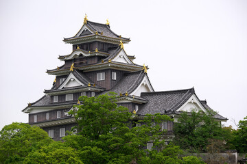 北面の後楽園から望んだ岡山城天守閣。