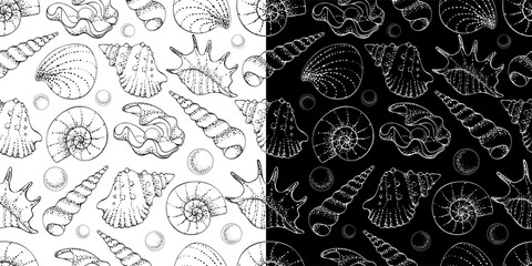 Black and white seamless pattern of sea shells, monochrome background. Seashells and conchs, hand drawn lines and dots, grainy texture. Vector print, undersea design for fabric, wallpaper and package.